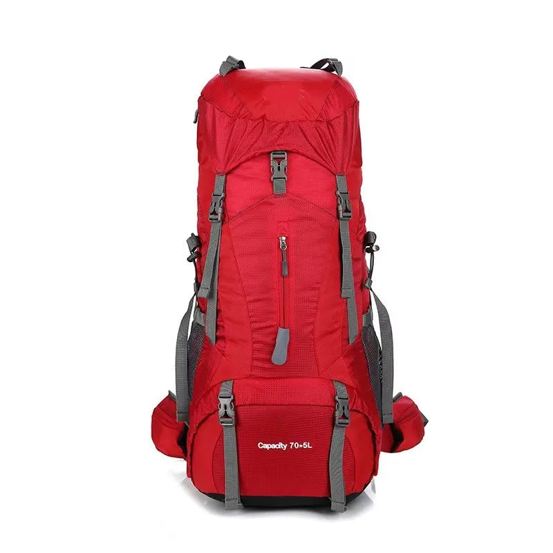 80L mountaineering backpack back panel and straps