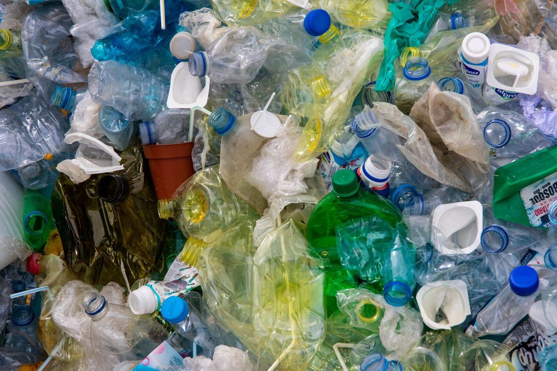 Close-up of plastic bottles collected for recycling