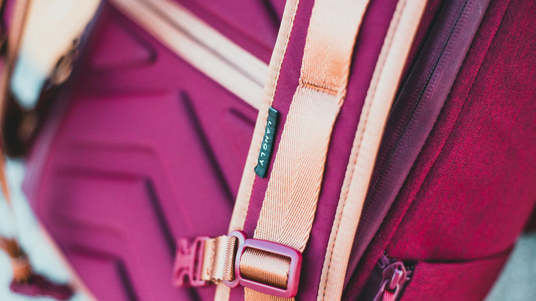 Close-up of a backpack strap and buckle