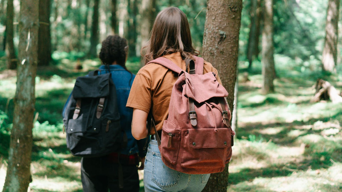 Two hikers with backpacks walking a forest trail