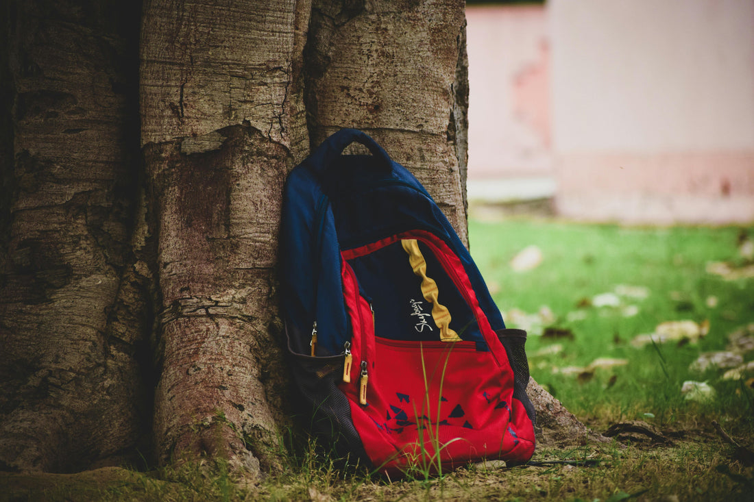 Navy and red commuter backpack leaning against a tree trunk on grass