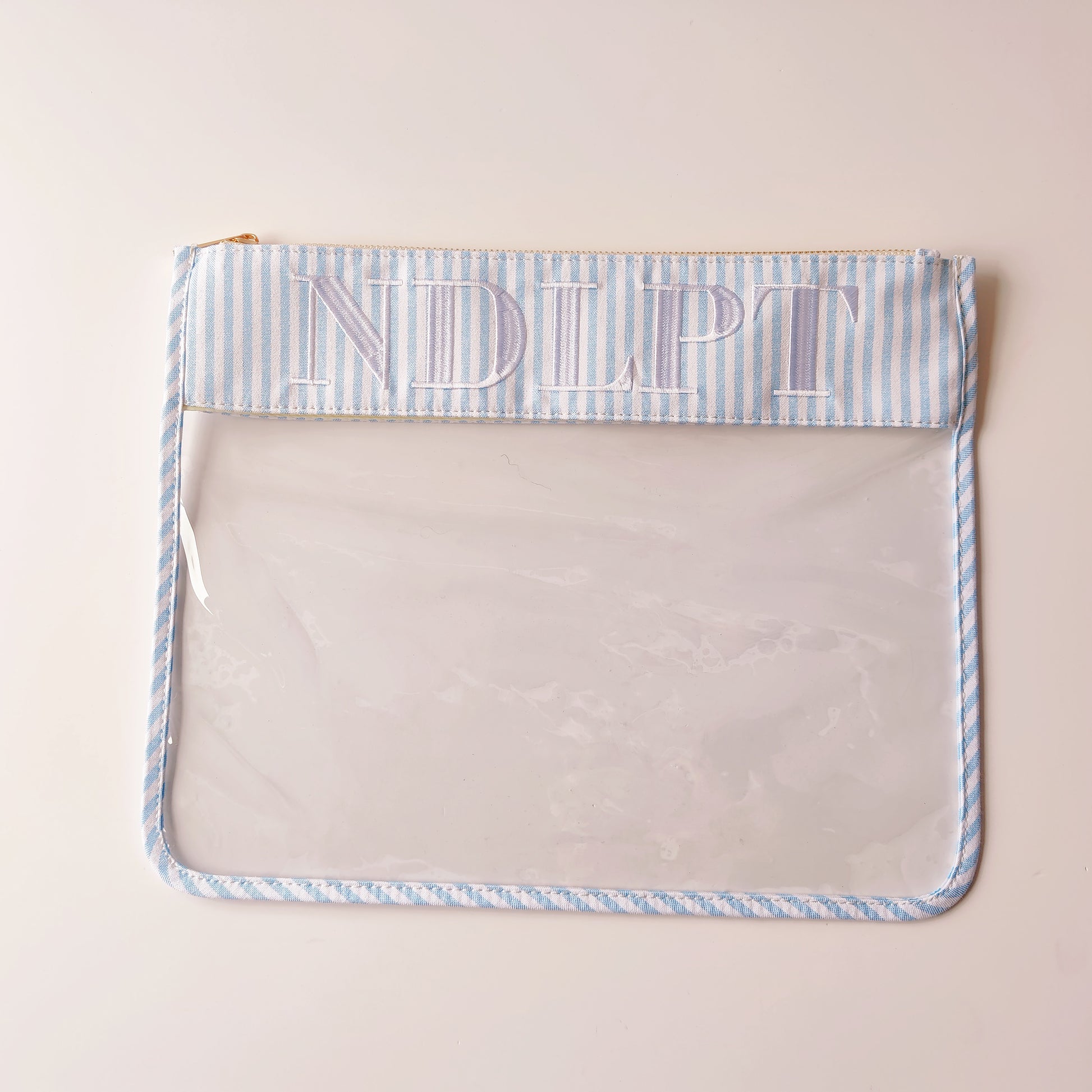 Backper Andromeda Clear Needlepoint Project Bag — Blue Striped (NDLPT)