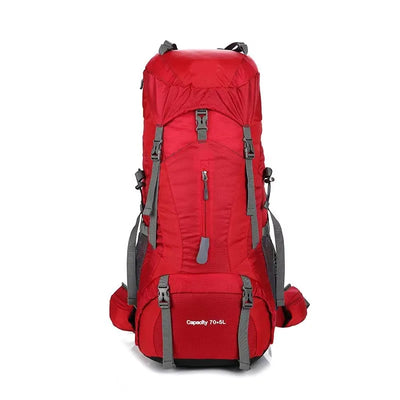 80L mountaineering backpack back panel and straps