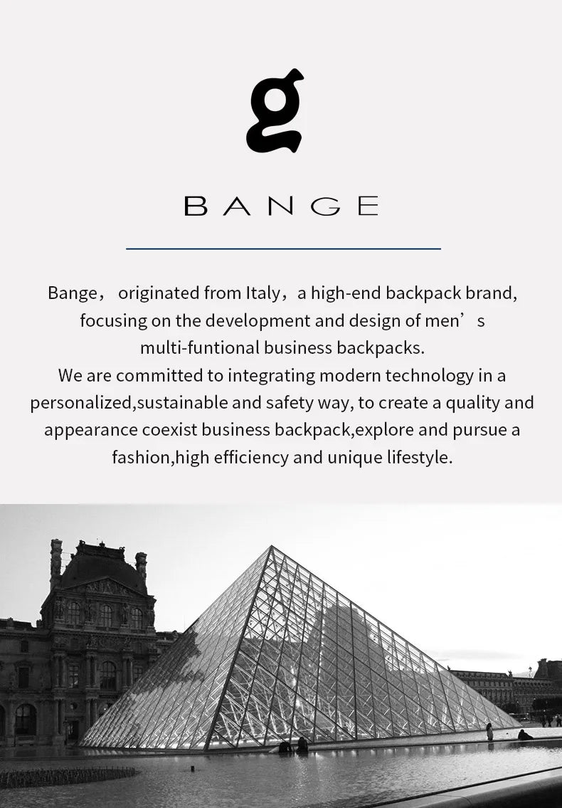 Bange Apex 7308 Modern Polyester Messenger Bag
